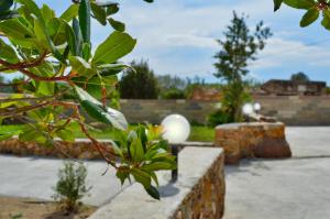 un jardin avec un mur en briques et quelques plantes dans l'établissement Il Sogno di una Stella, à Alghero