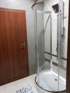 W łazience znajduje się prysznic ze szklanymi drzwiami. w obiekcie Noclegi MaxTrans w Mielcu