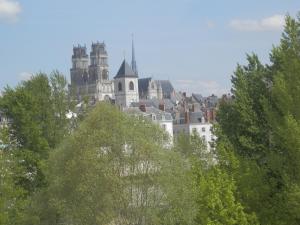 オルレアンにあるLe logis d'Antoineの木々の城を背景にする都市