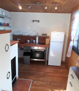 a kitchen with a refrigerator and a table with a microwave at Ferienhaus Schnider in Galgenul