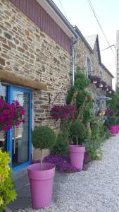 un groupe de plantes en pots devant un bâtiment dans l'établissement La Bastide du Moulin - Mont St Michel, à Moidrey