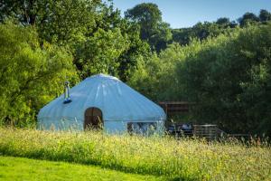Gallery image of Ceridwen Glamping, double decker bus and Yurts in Llandysul