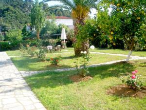 a garden with an orange tree and a table and chairs at Afroditi in Panormos Skopelos