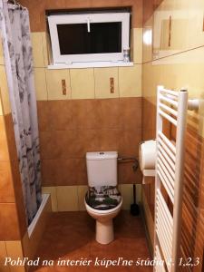 een kleine badkamer met een toilet en een raam bij Bungalovy Classic in Podhájska