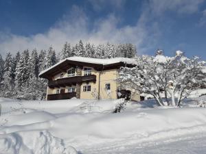 Haus Waldegg v zime