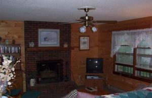 sala de estar con chimenea y ventilador de techo en A Little Slice of Smokey Mountain Heaven with Wifi, en Franklin