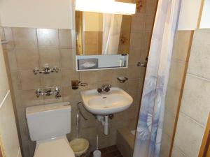 een kleine badkamer met een toilet en een wastafel bij Haus Primula Pizol in Wangs