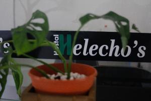 Fotografie z fotogalerie ubytování Helecho's Hostal v destinaci Encarnación
