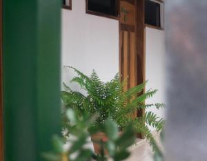 Fotografie z fotogalerie ubytování Helecho's Hostal v destinaci Encarnación