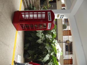 una vista aérea de un jardín con una cesta de compras roja en Hostal Gemina, en Lima