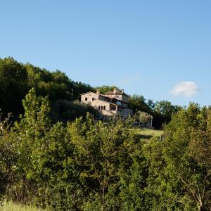 een huis bovenop een heuvel met bomen bij Le Conche country house in Villamaina