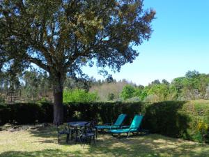 un groupe de chaises et une table sous un arbre dans l'établissement Sossego, à Pedrógão Grande