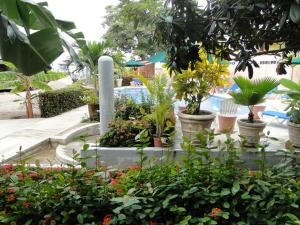 Gallery image of Paraiso del Pescador in Rincon de Guayabitos