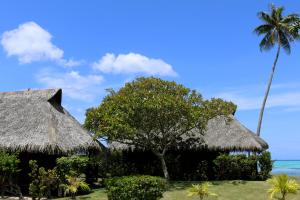 a couple ofiki huts on a beach with a palm tree at Hotel Hibiscus in Papetoai