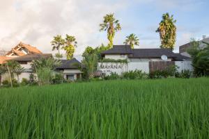 a rice field in front of a house at Mayana Villas in Canggu