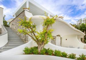 Una casa blanca con un árbol delante. en Villa Caruso en Ischia