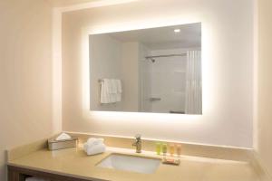 a bathroom with a sink and a large mirror at Wyndham Garden Ft Lauderdale Airport & Cruise Port in Dania Beach