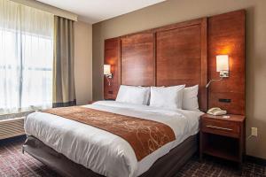 a hotel room with a large bed and a window at Comfort Suites NW Dallas Near Love Field in Dallas