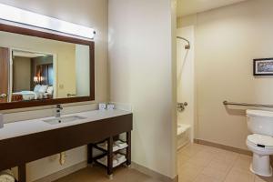 a bathroom with a sink and a toilet and a mirror at Comfort Suites NW Dallas Near Love Field in Dallas