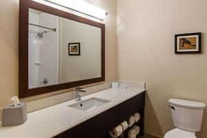 a bathroom with a sink and a mirror and a toilet at Comfort Suites NW Dallas Near Love Field in Dallas