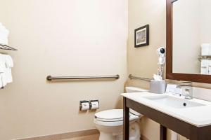 a bathroom with a toilet and a sink at Comfort Suites NW Dallas Near Love Field in Dallas
