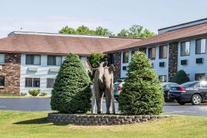 a statue of a horse standing between two trees at Quality Inn & Suites Newberry in Newberry