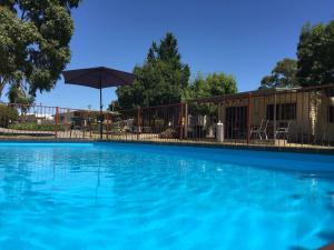 a large blue swimming pool with an umbrella at Acacia Caravan Park & Holiday Units in Ararat