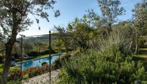 una piscina in un giardino con alberi e cespugli di Villa Bordoni a Greve in Chianti