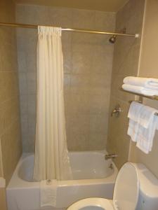 un bagno con vasca, WC e doccia di Americas Best Value Inn Santa Rosa, New Mexico a Santa Rosa