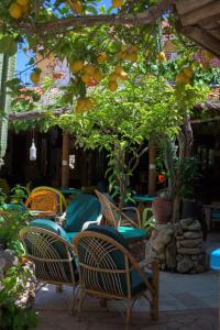 A garden outside Maro Apartments Arillas Corfu