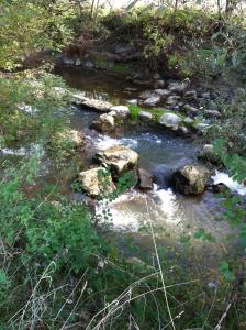Paesaggio naturale nelle vicinanze dell'affittacamere