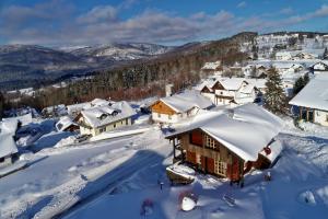 a village covered in snow with mountains in the background at Ferienhaus Hirschkopf in Mauth +16 photos