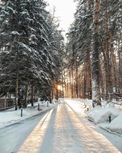 una carretera cubierta de nieve con árboles en el fondo en Park Hotel Lesnye Dali, en Barnaul
