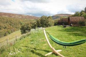 a hammock in a field next to a cabin at Howe of Torbeg in Ballater