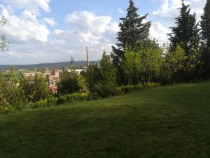 Příroda nedaleko bed and breakfast