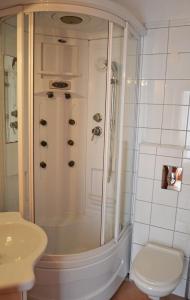 La salle de bains est pourvue d'une douche, de toilettes et d'un lavabo. dans l'établissement Apartments Pirovcanka, à Pirovac