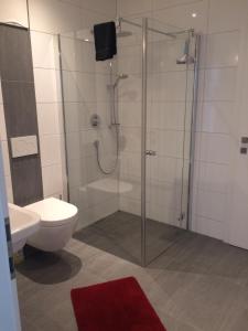 プルツにあるApart Karinのバスルーム(シャワー、トイレ、洗面台付)