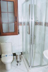 a bathroom with a shower and a toilet and a sink at Vivienda Turistica Arabeluj in Güéjar-Sierra