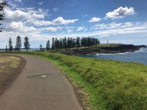 a winding road next to the ocean with trees at Kiama Executive in Kiama