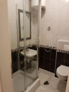 a bathroom with a shower and a sink and a toilet at Apartments Glibo in Cres