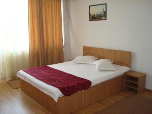 エフォリエ・ノルドにあるPensiunea Doneliのベッドルーム1室(赤毛布付きの大型ベッド1台付)