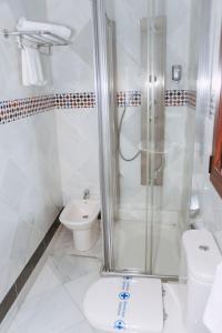 a bathroom with a shower and a toilet at Vivienda Turistica Arabeluj in Güéjar-Sierra