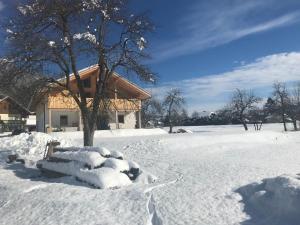 Alpenlodge Kirchbach v zimě