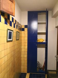 a bathroom with a shower with a blue door at La tana del riccio in San Sisto dei Valdesi +28 photos