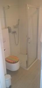 a bathroom with a toilet and a glass shower at Apartament pod Czarną Górą in Sienna