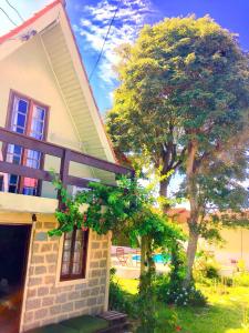 una casa con un albero di fronte di Hostel Praia de Moçambique a Florianópolis
