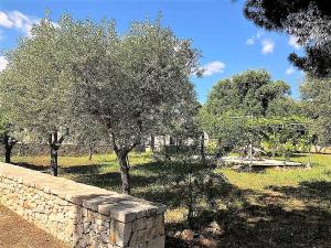 A garden outside Casa Polinisso