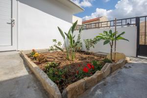 A garden outside Iliopetra House