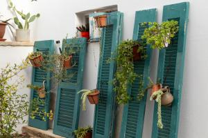 A garden outside Iliopetra House