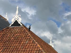 Galeriebild der Unterkunft Bed and breakfast Zathe De Spieker in Itens + 23 Fotos